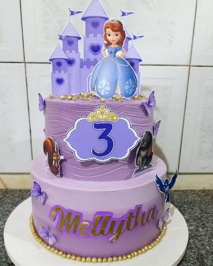 Resultado de imagem para bolo falso quadrado da princesa sofia  Pastel  princesa sofía, Torta princesa sofia, Pastel de cumpleaños princesa