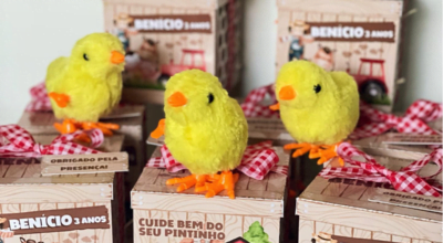 Presentinhos do campo: 75 ideias de lembrancinha fazendinha