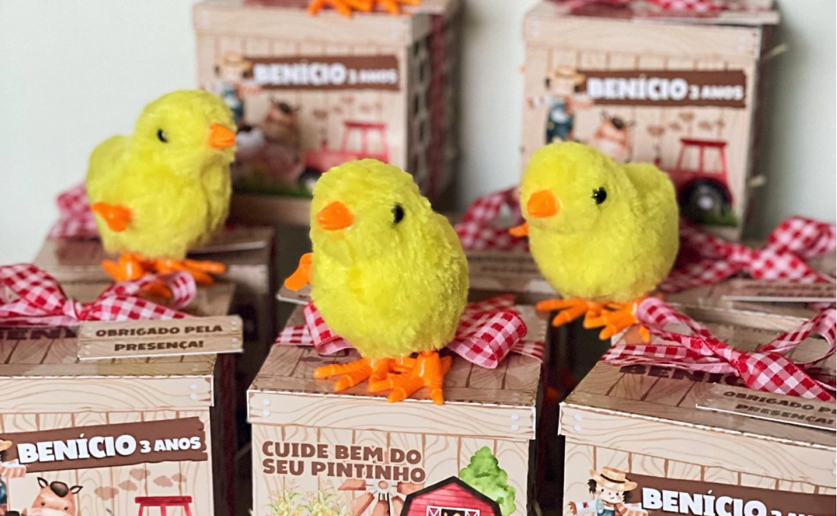 Presentinhos do campo: 75 ideias de lembrancinha fazendinha